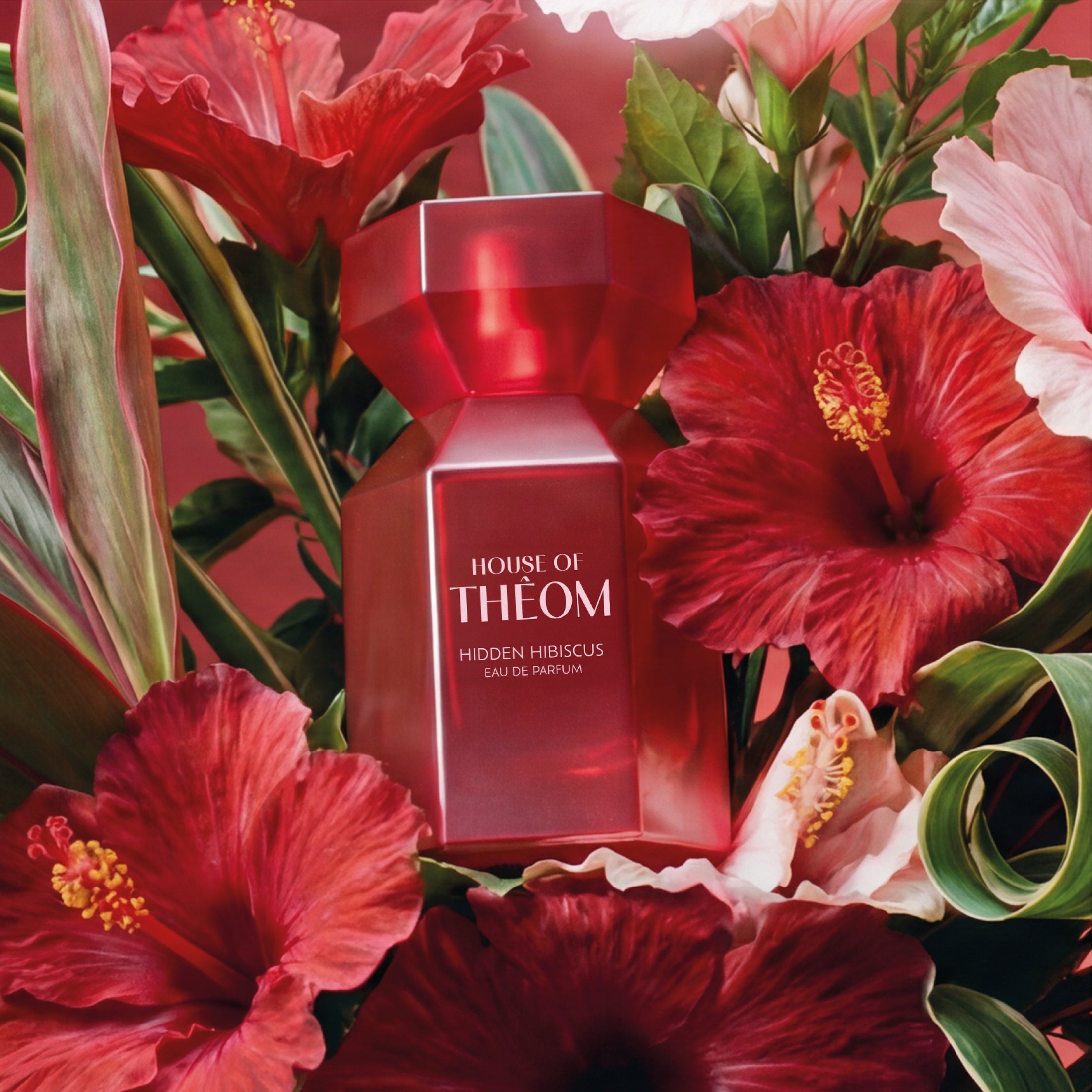 Hidden Hibiscus