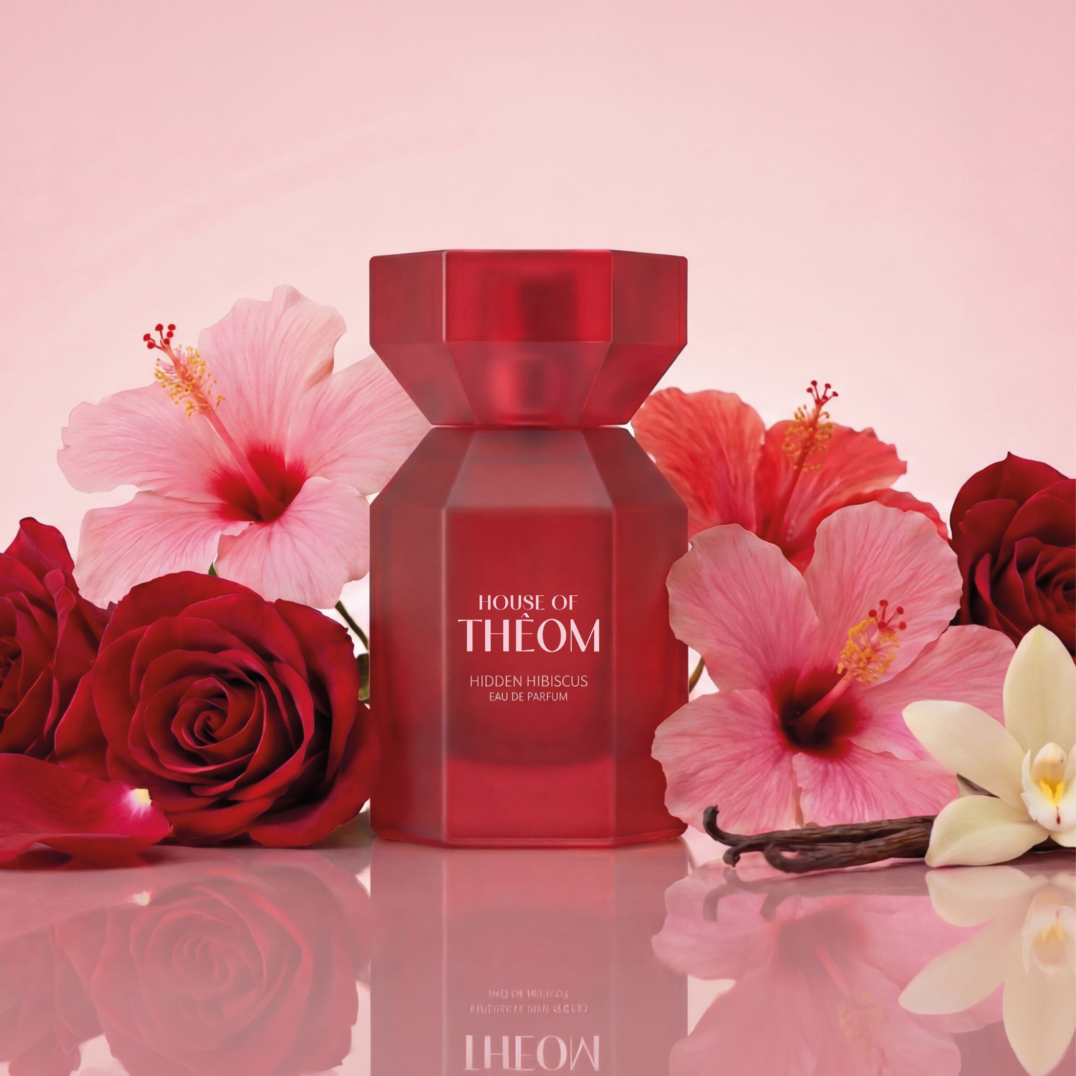 Hidden Hibiscus